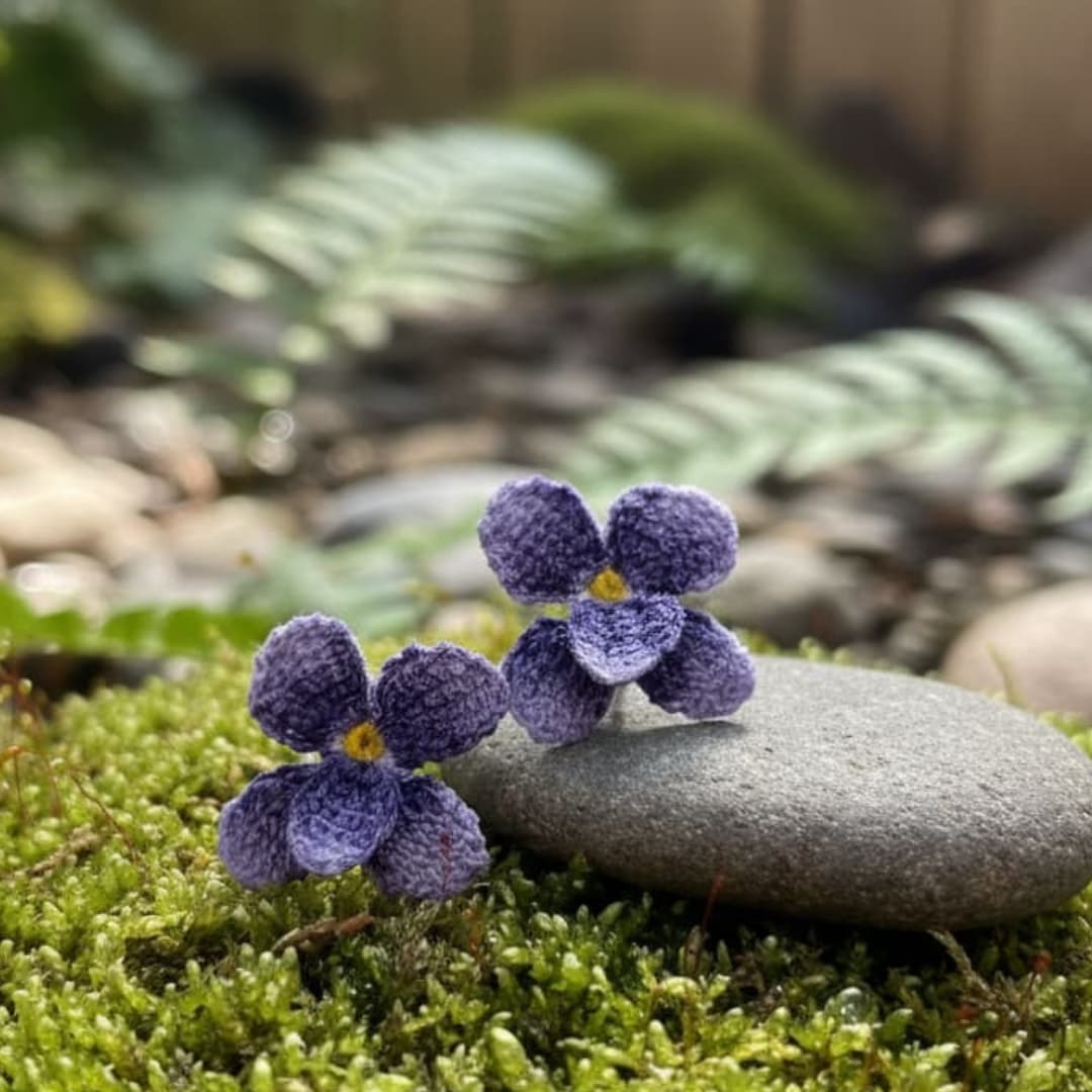 probuzení přírody fialky